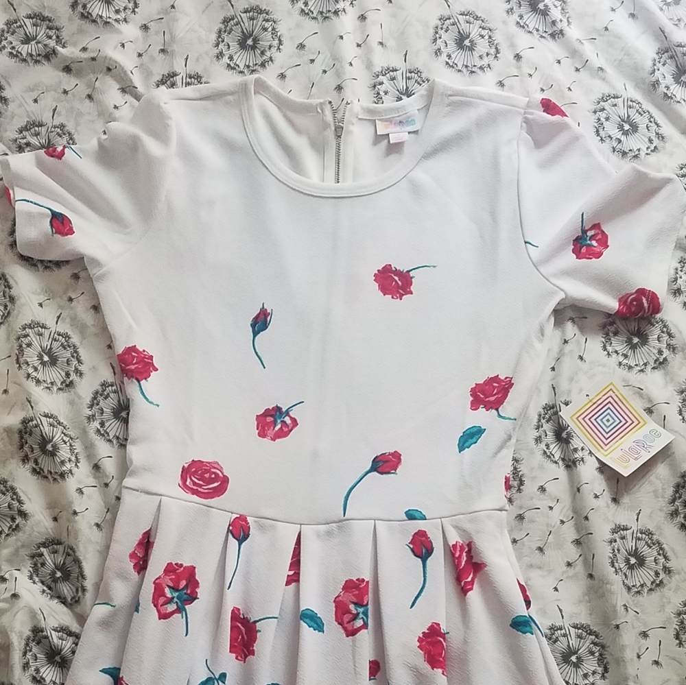 LuLaRoe Dress